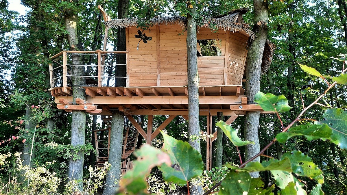 Treehouse postavený mezi vzrostlými stromy